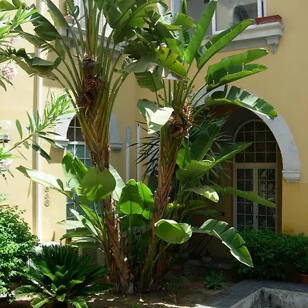 Pepe's Apartament